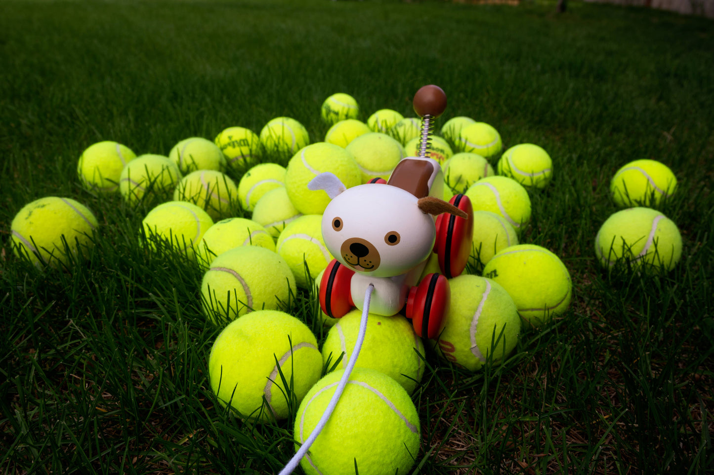 Juguete para tirar Wiggles the Dog