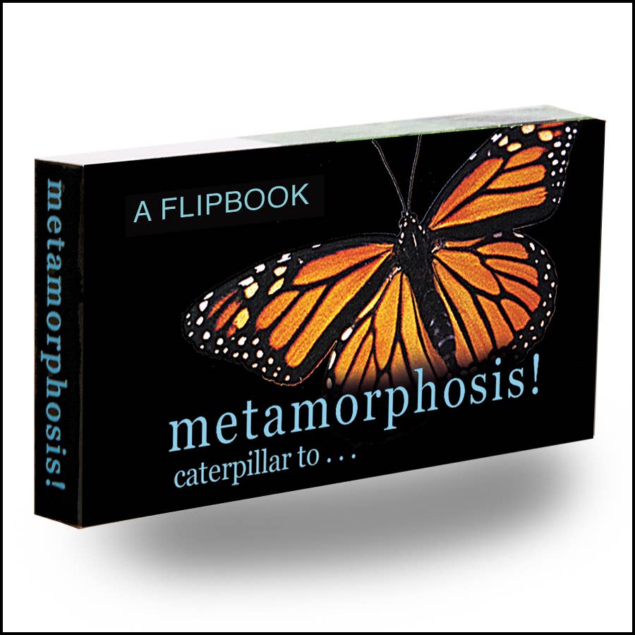 Libro animado Metamorfosis de la mariposa