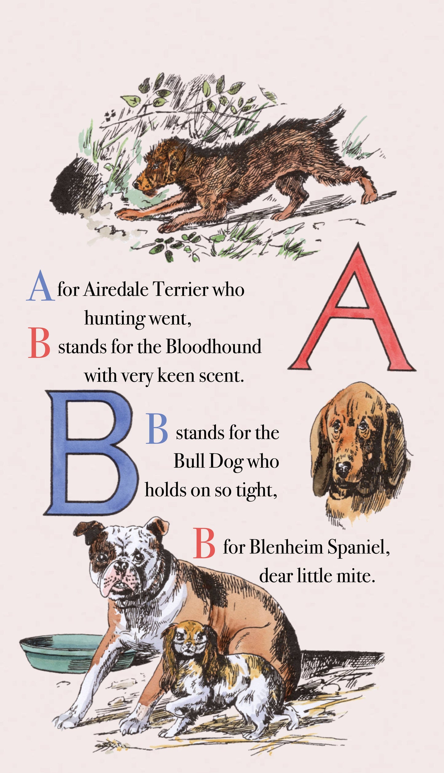 Puppy Dog's ABC Book