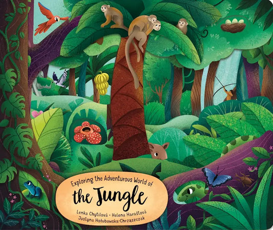 Board Book - World of the Jungle