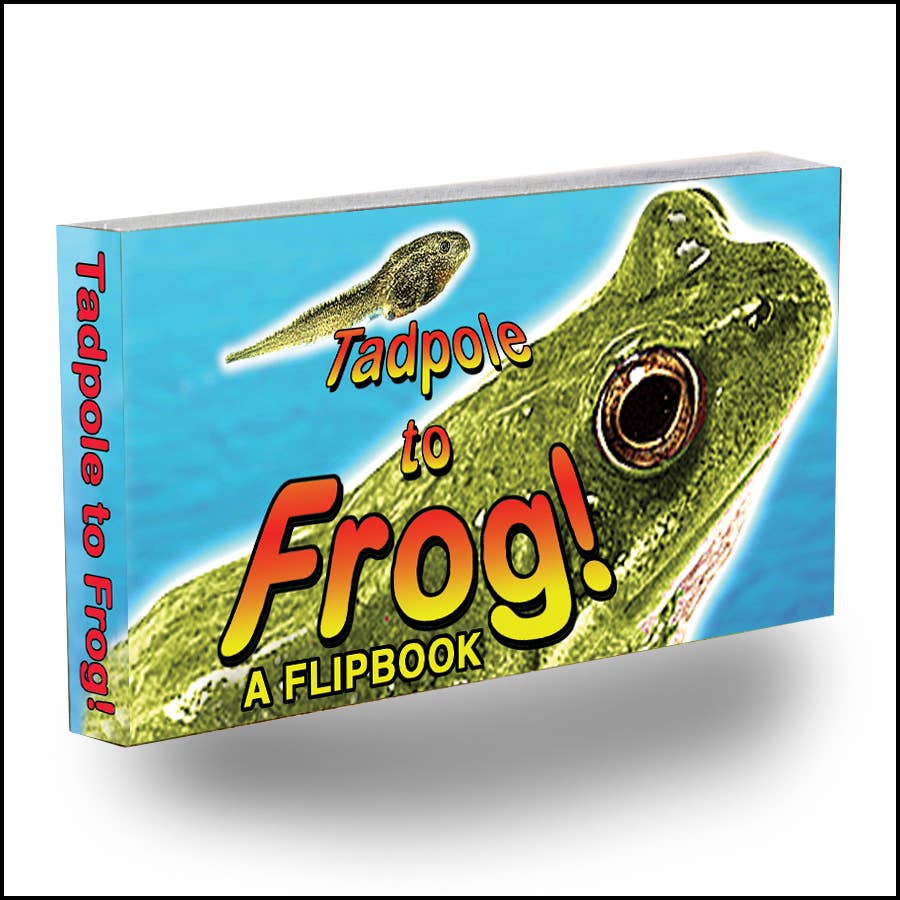 Tadpole to Frog Flip Book