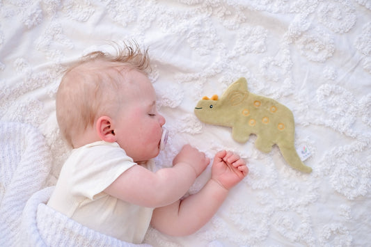 Dinosaur Organic Fabric with Crinkle